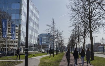 Advies over het park